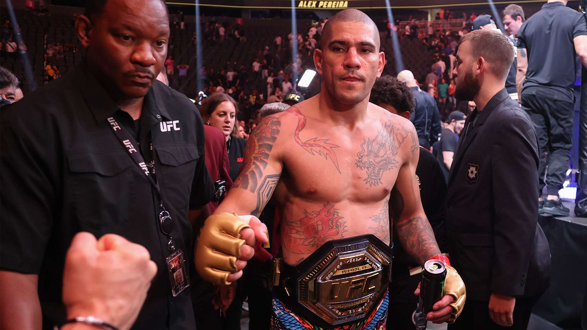 提供了更为 提供了更为